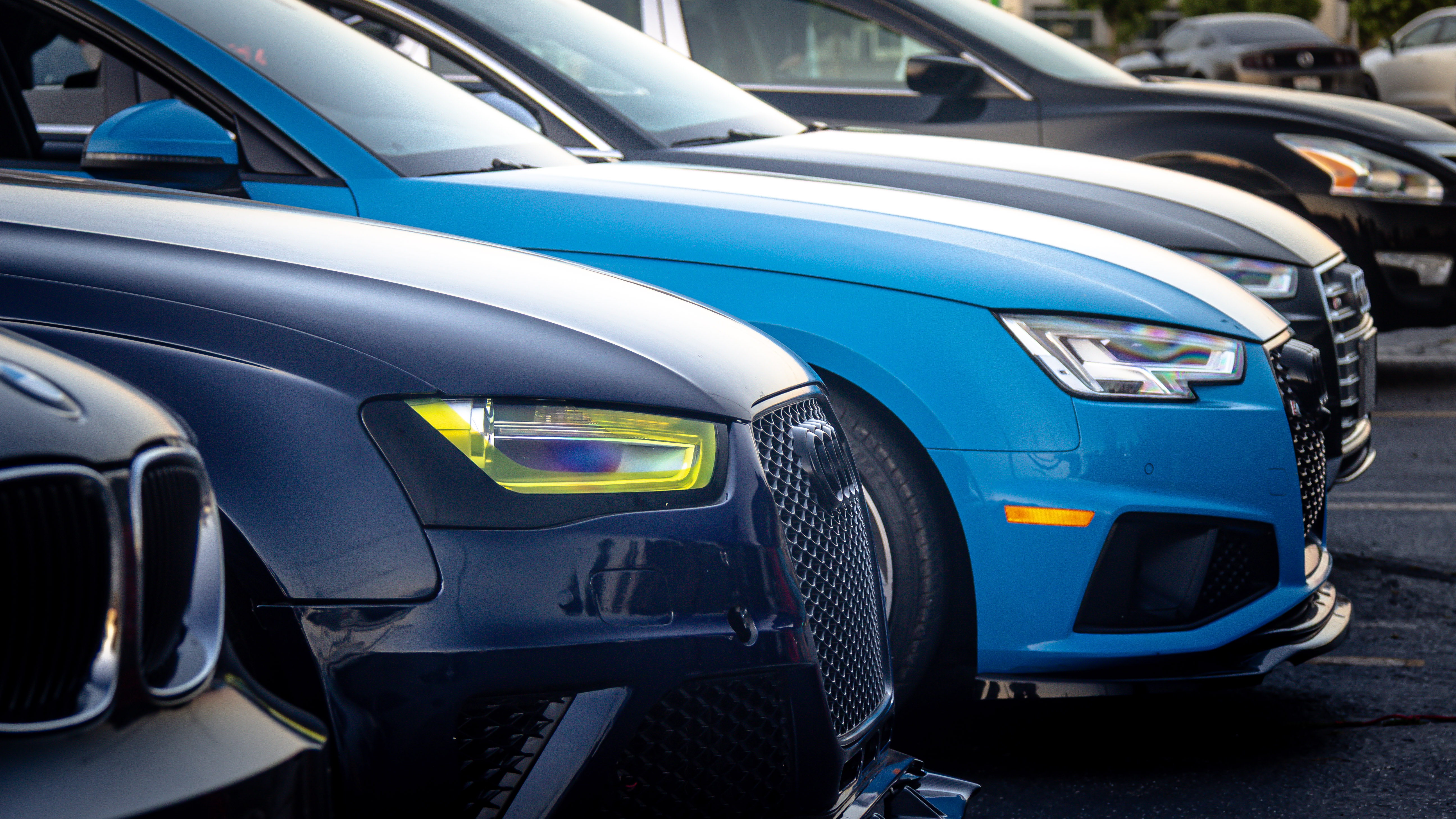 Row of cars lined up at a car meet — navy BMW on the left, Nogaro Blue Audi RS4 in the center, with more cars behind